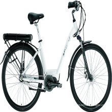 C0226-Urban individual leisure bicycle